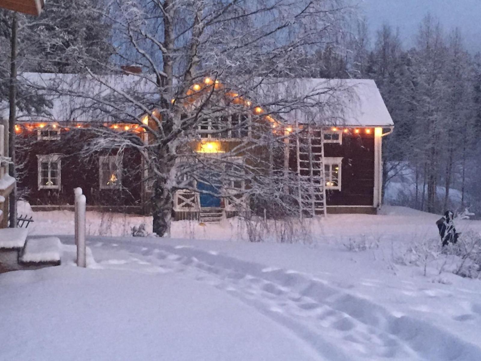 Korvala Log Cabins Extérieur photo